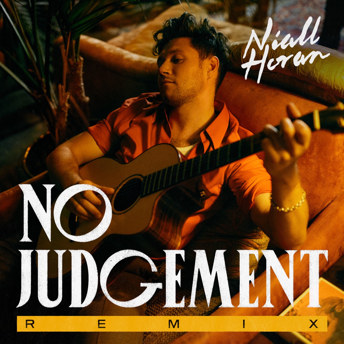 No Judgement (Steve Void Remix) - Single by Niall Horan & Steve Void album cover