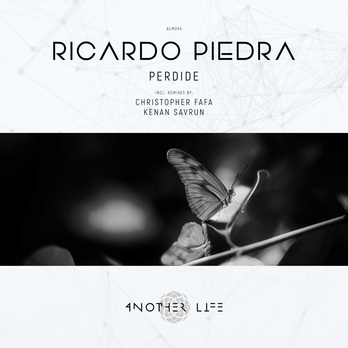 Perdide - Single by Ricardo Piedra album cover