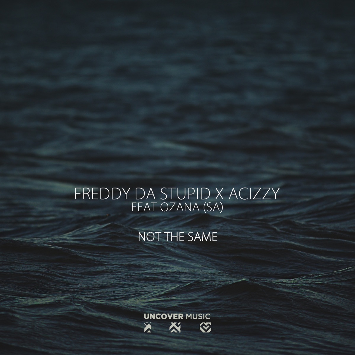 Not the Same (feat. Ozana) - Single by Freddy da Stupid & Acizzy album cover
