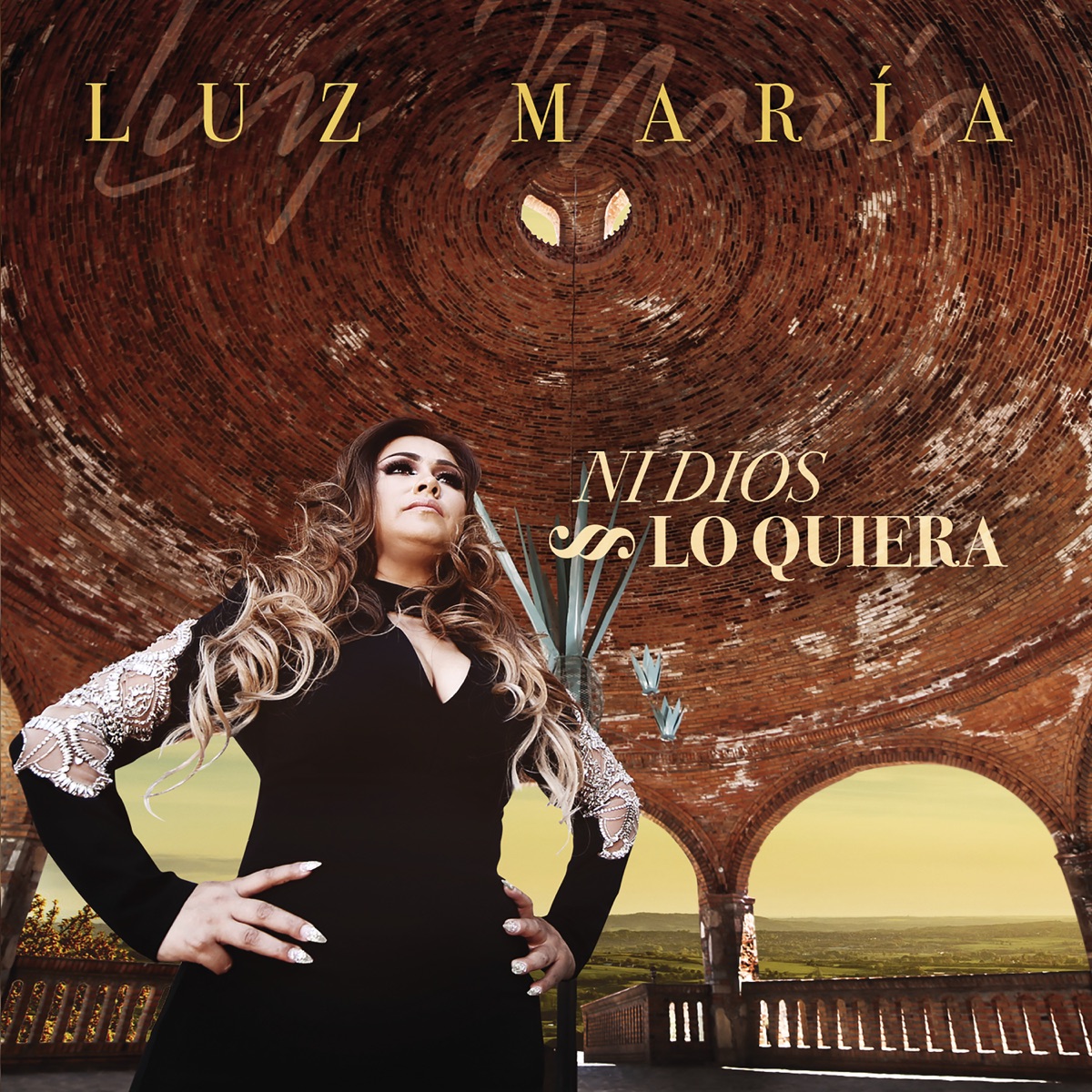 Ni Dios Lo Quiera by Luz Maria album cover