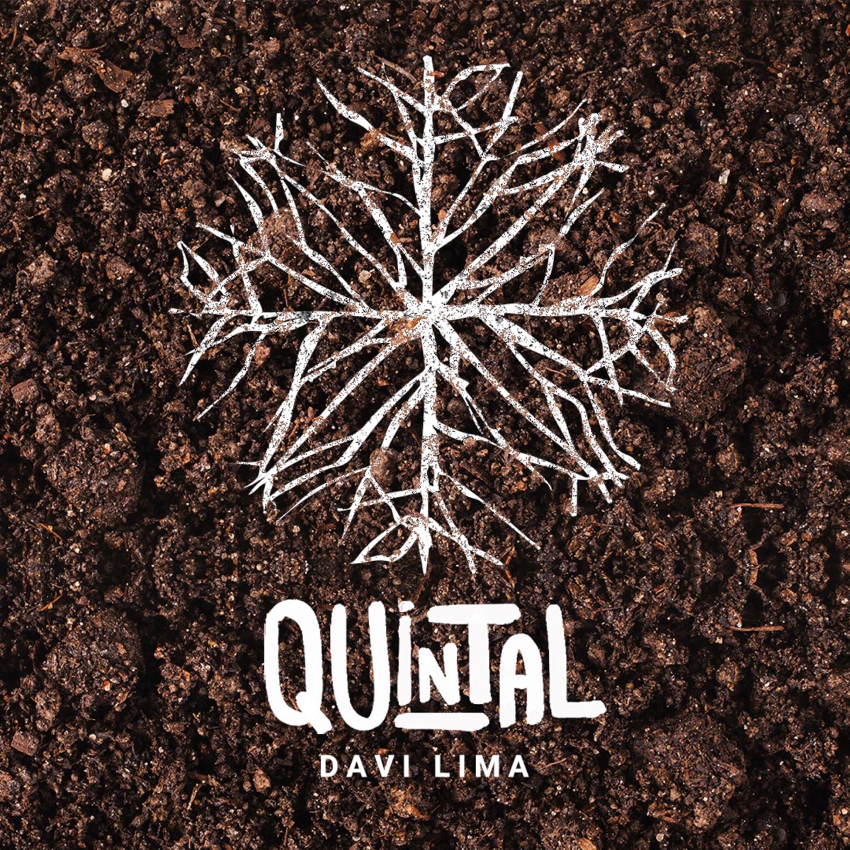 Quintal - Single by Davi Lima album cover