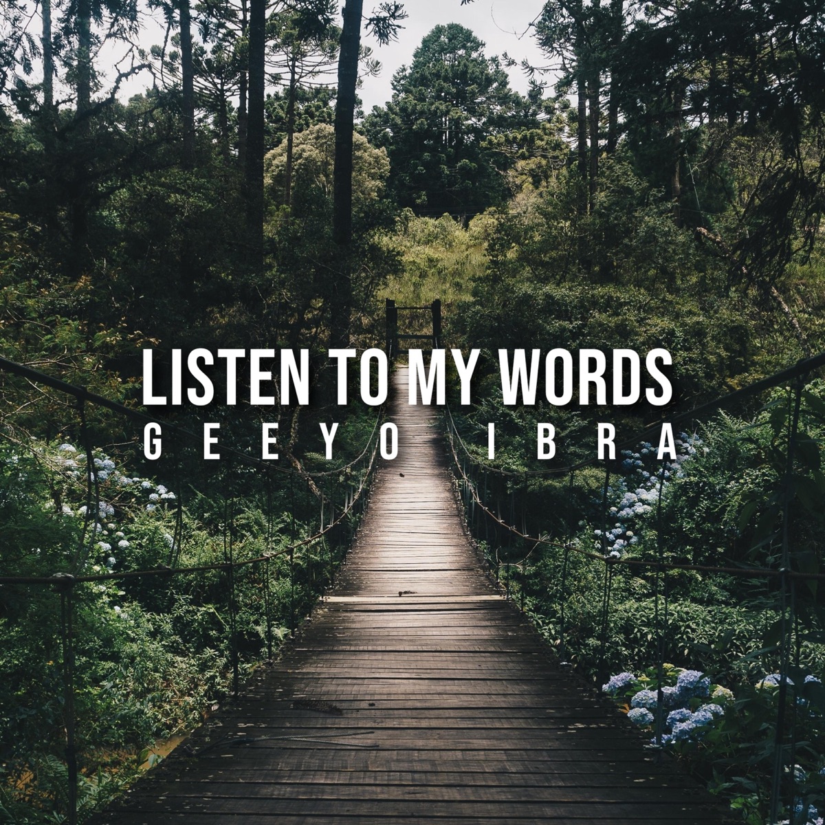 Listen to My Words - Single by Geeyo Ibra album cover
