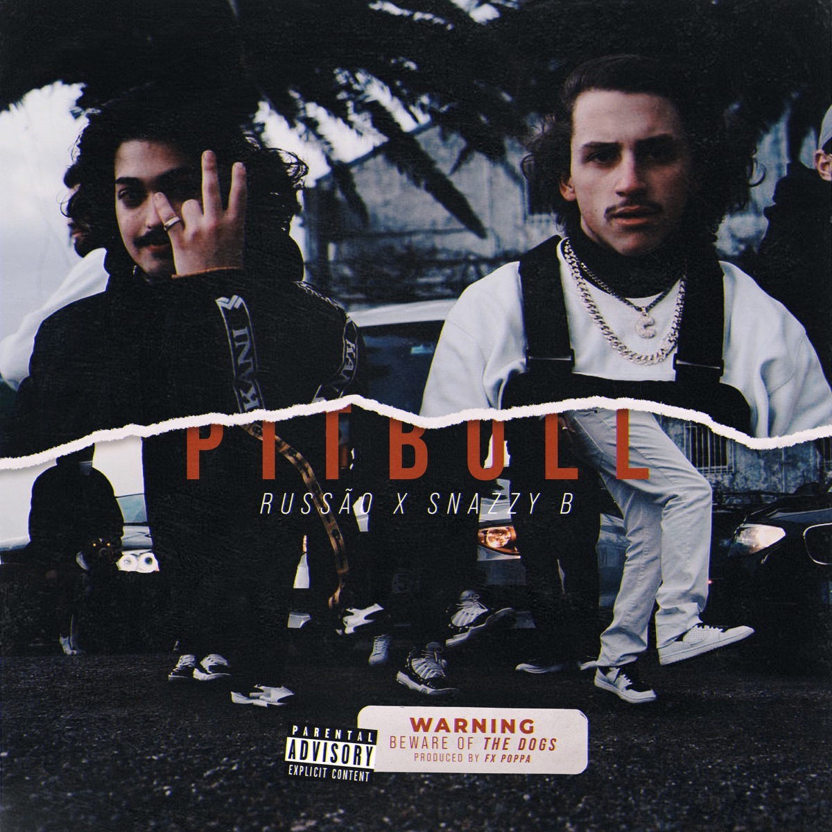 Pitbull - Single by Lords & Snazzy B album cover