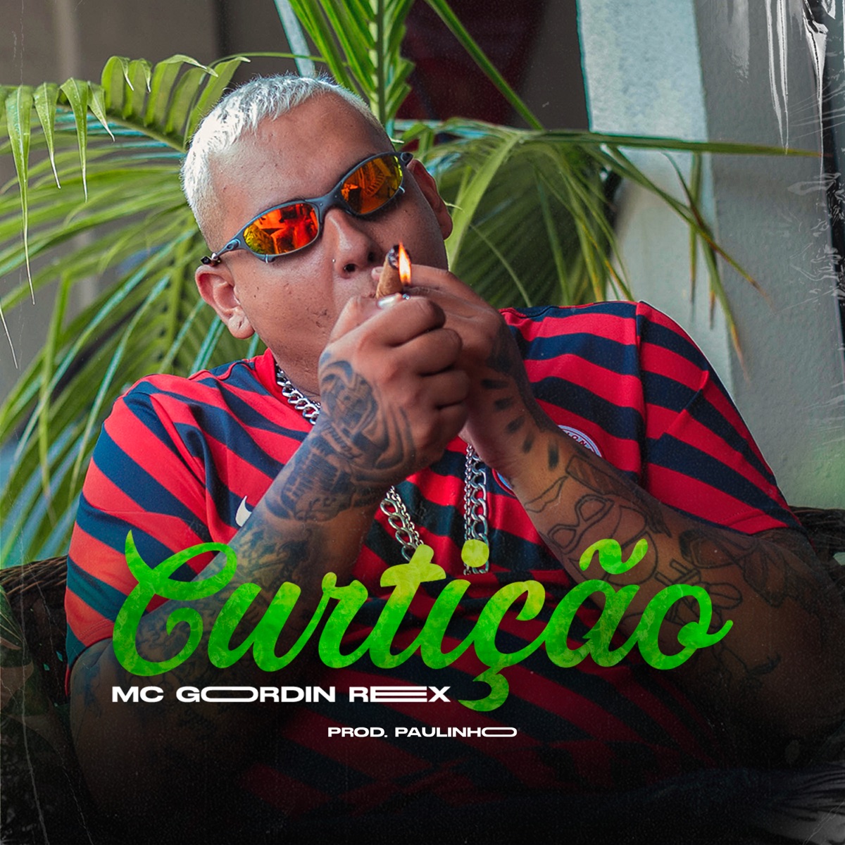 Curtição - Single by MC Gordin Rex album cover