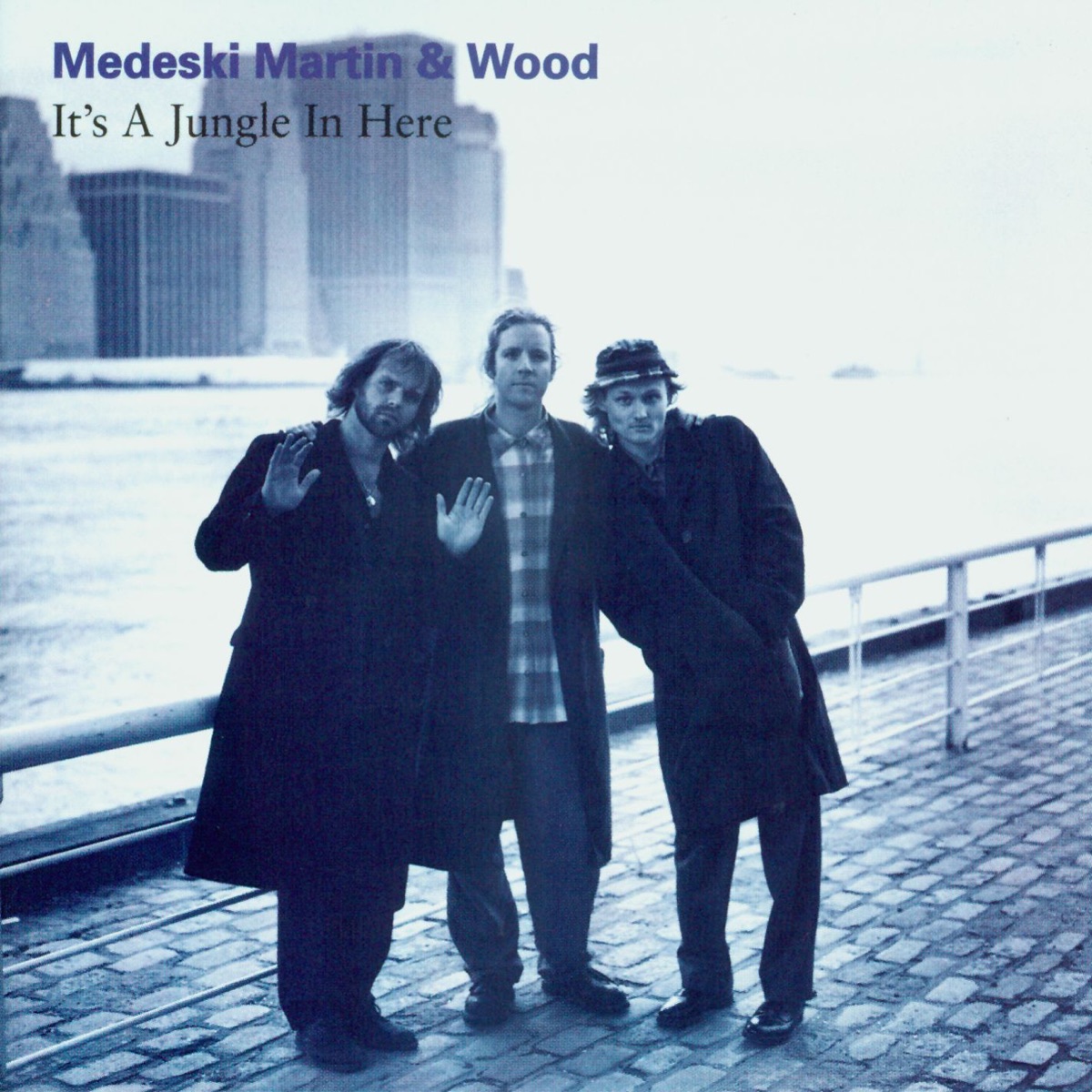 It's a Jungle In Here by Medeski, Martin & Wood album cover