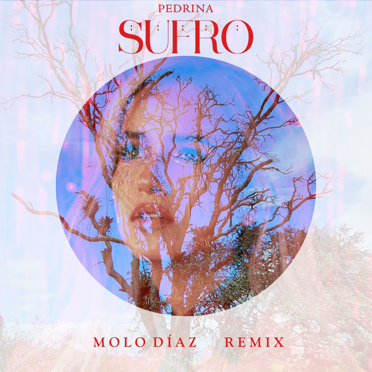 Sufro (Remix) - Single by molo díaz & Pedrina album cover