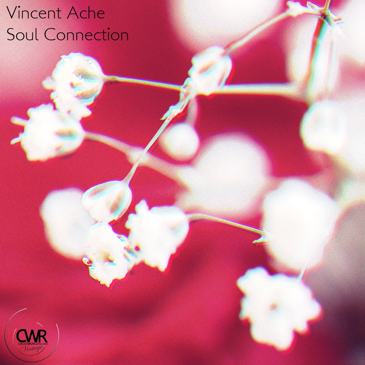 Soul Connection - Single by Vincent Ache album cover