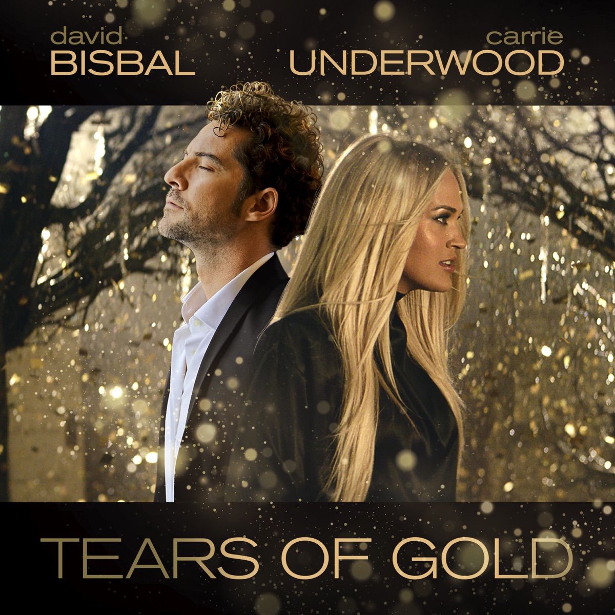 Tears Of Gold - Single by David Bisbal & Carrie Underwood album cover