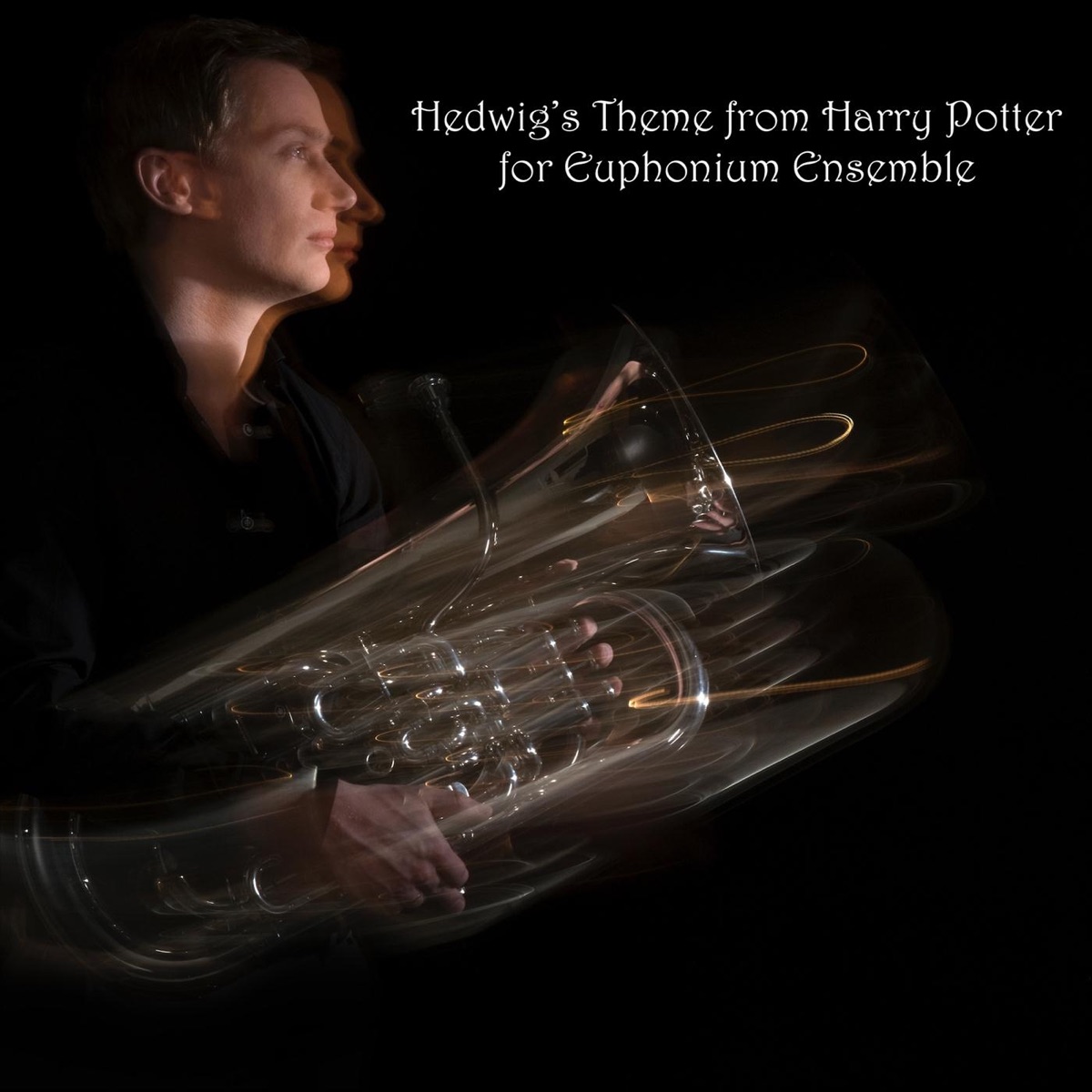 Hedwig's Theme (From Harry Potter and the Philosophers Stone) - Single by Robbert Vos album cover