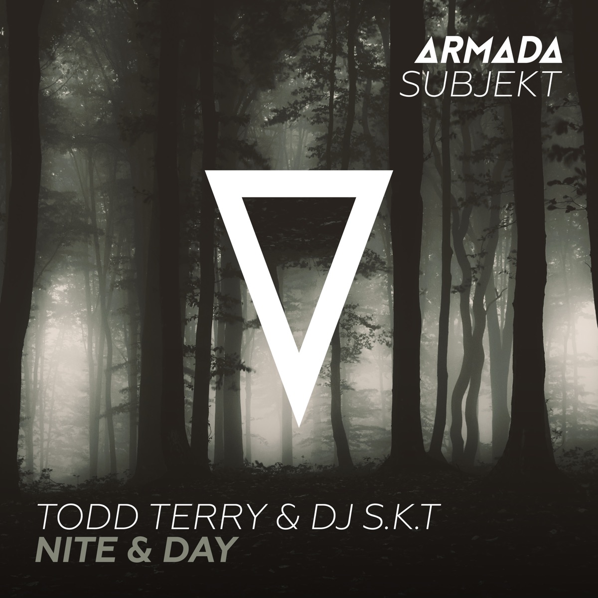 Nite & Day - Single by Todd Terry & DJ S.K.T album cover