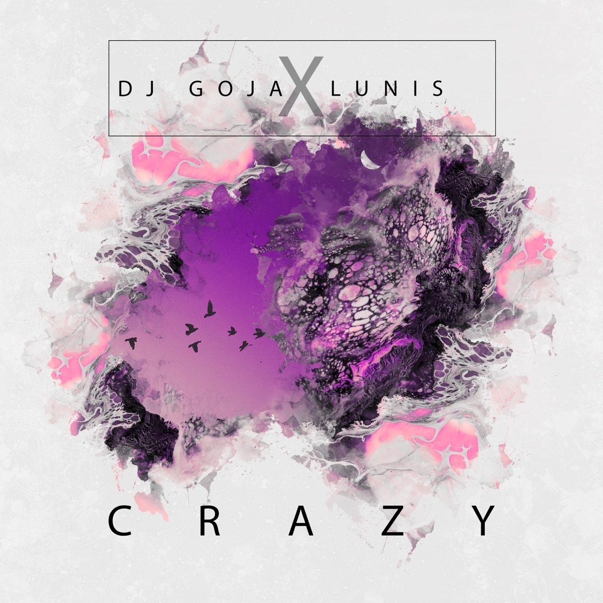 Crazy - Single by DJ Goja & Nito-Onna album cover