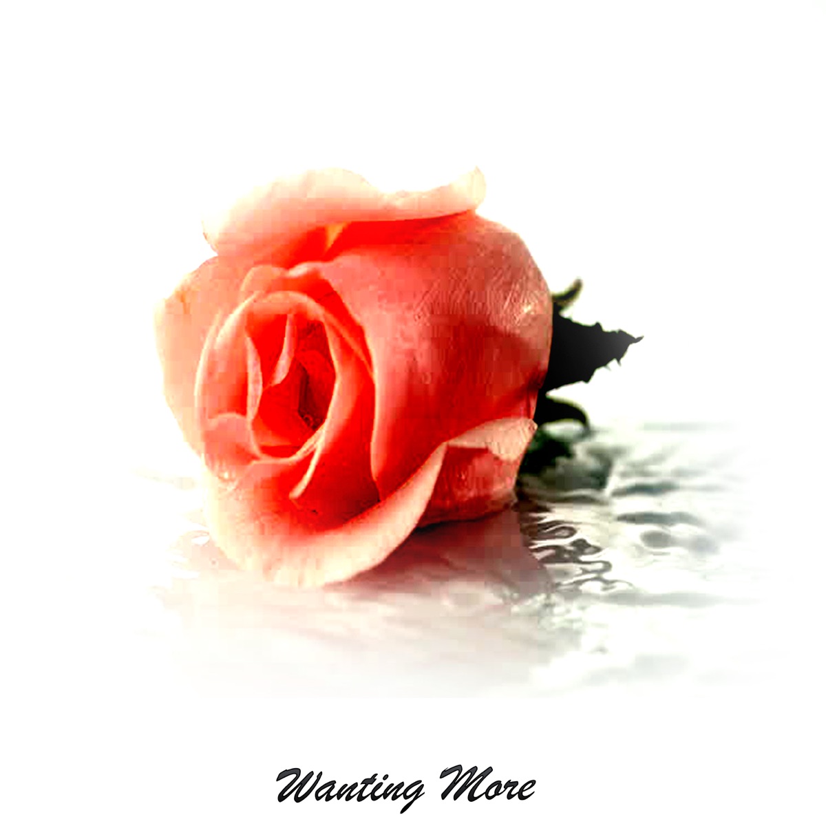 Wanting More by Ken album cover