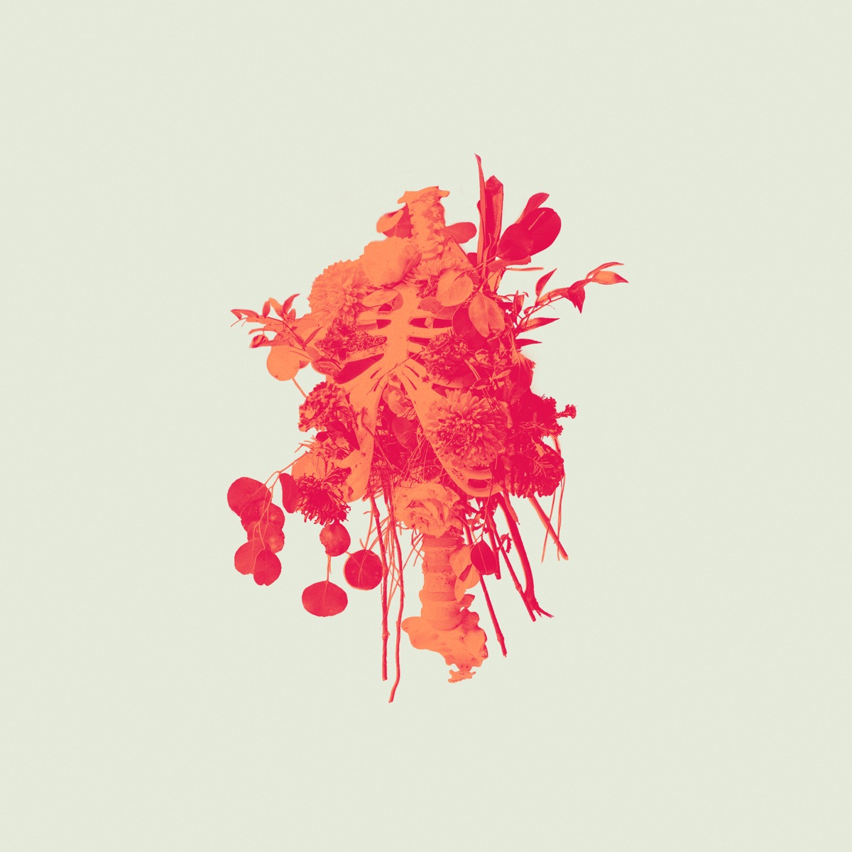 Graves Into Gardens: Morning & Evening by Elevation Worship album cover artwork