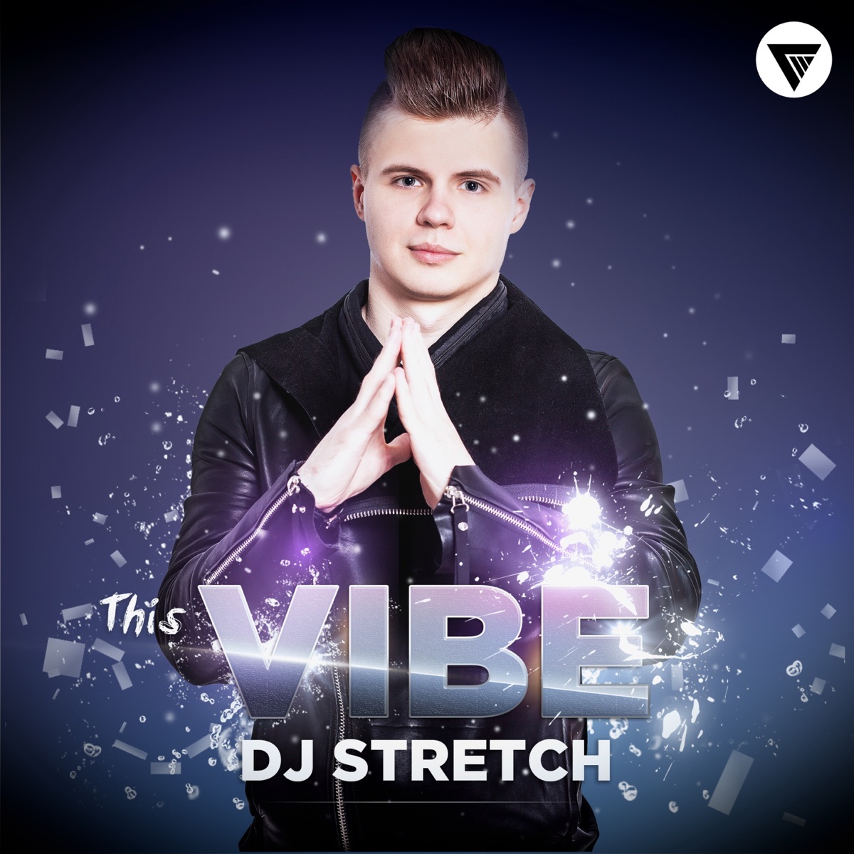 This Vibe - Single by DJ Stretch album cover