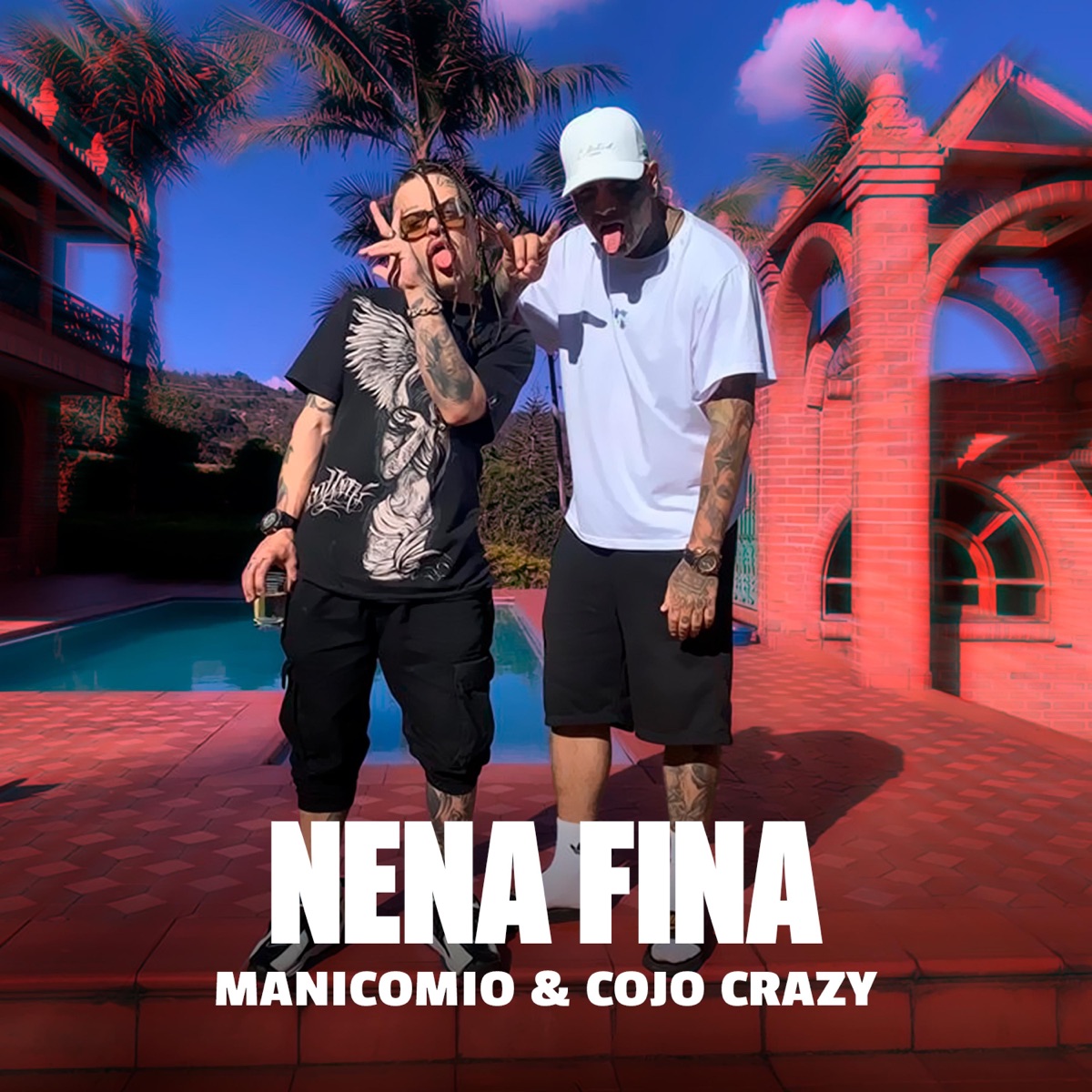 Nena Fina - Single by Manicomio & Cojo Crazy album cover