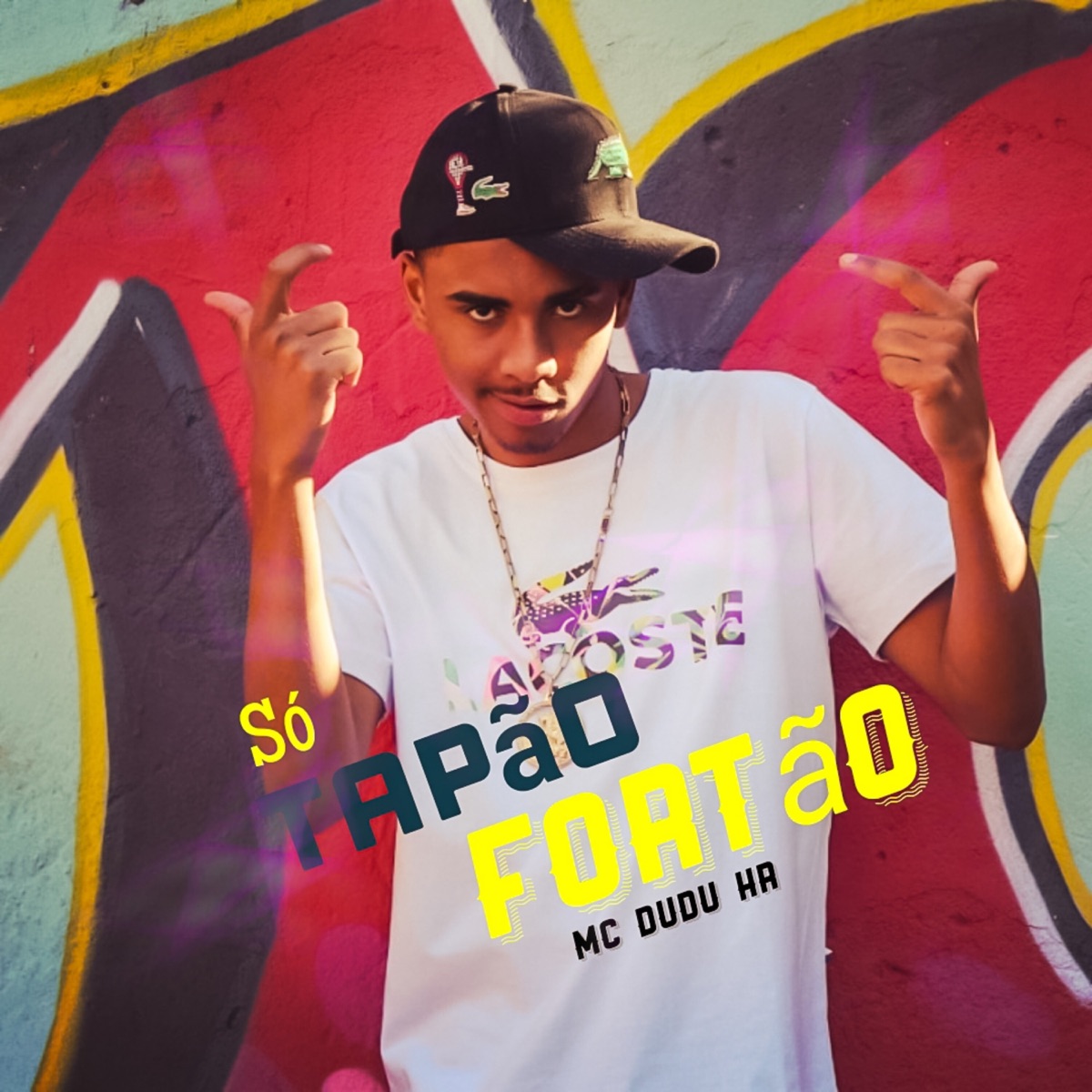 Só Tapão Fortão - Single by Mc Dudu HR album cover
