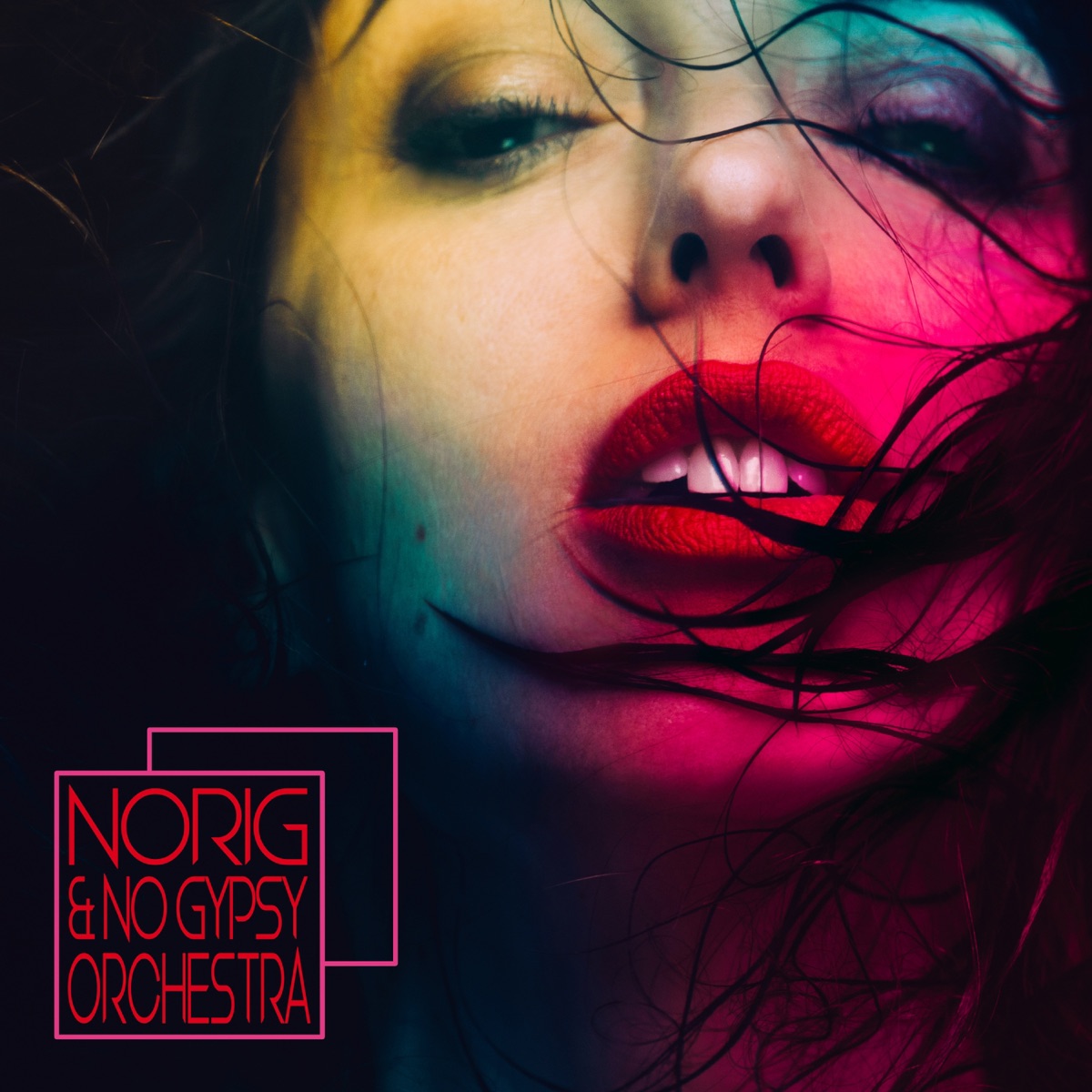 Norig & No Gypsy Orchestra by Norig album cover