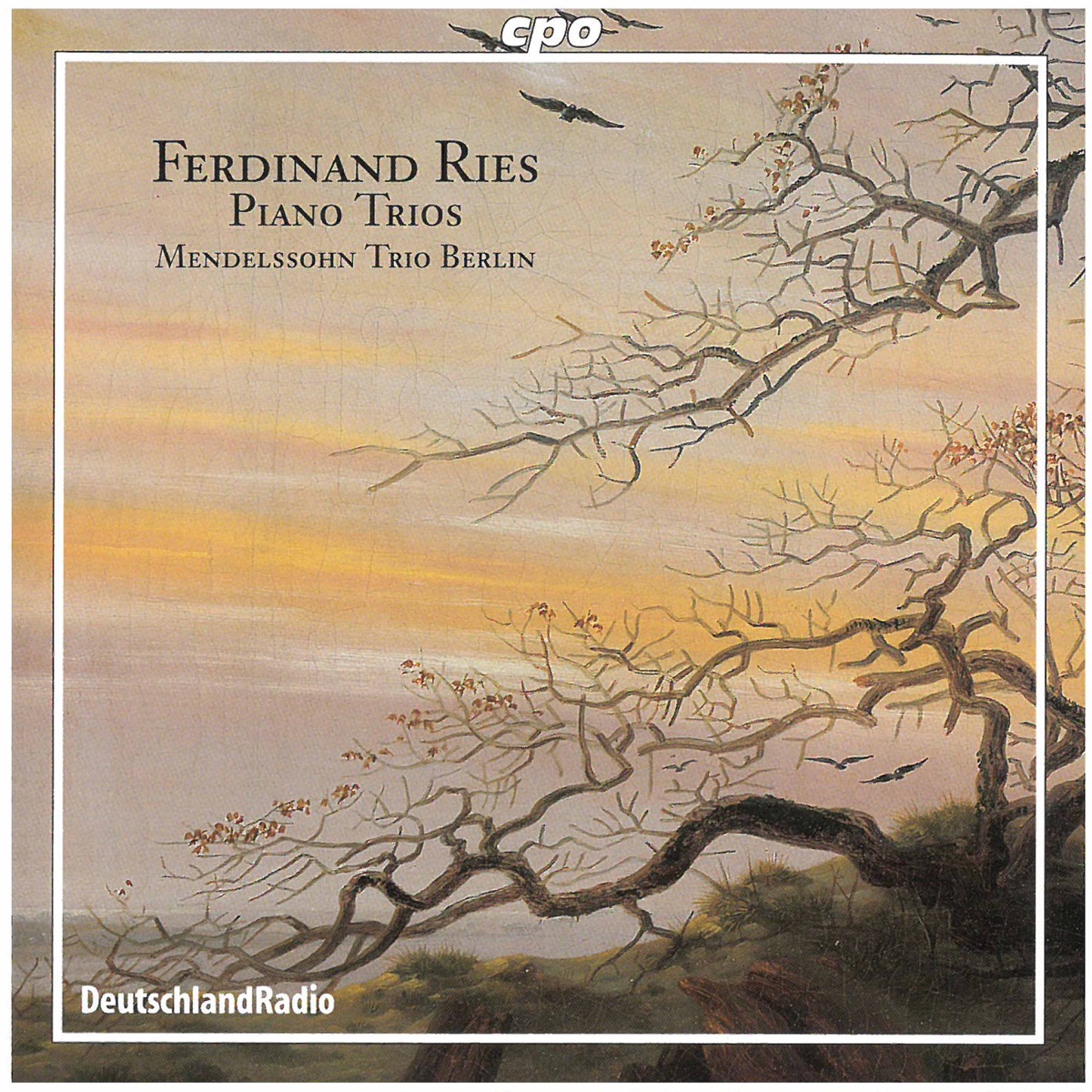 Ries: Piano Trios by Berlin Mendelssohn Trio album cover