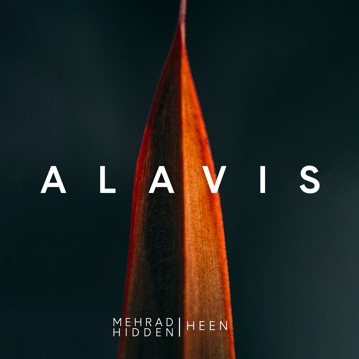 Alavis - Single by Mehrad Hidden & HEEN album cover