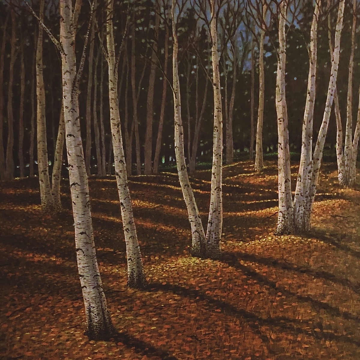 Hermitage by invention_ album cover