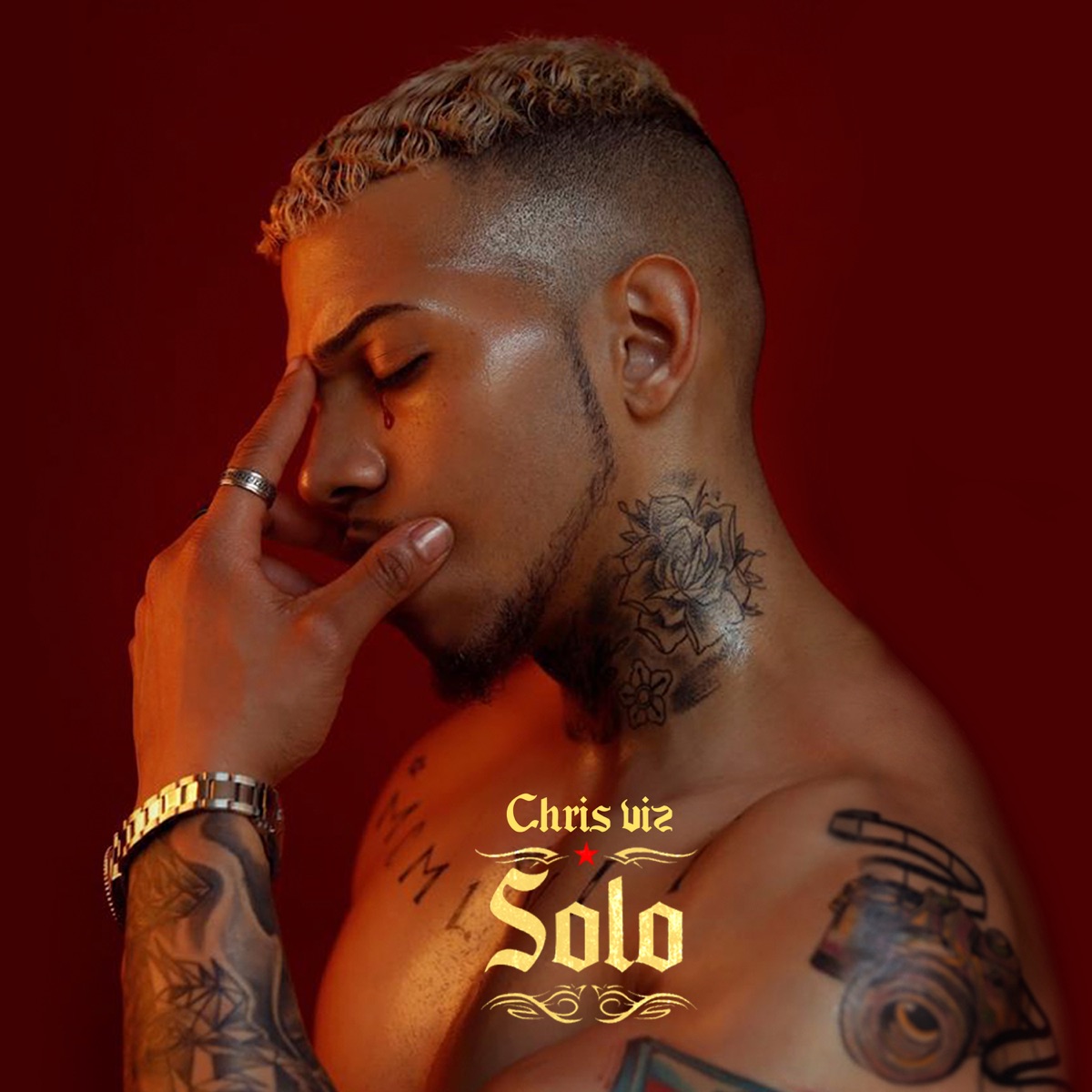 Solo - Single by Chris Viz album cover