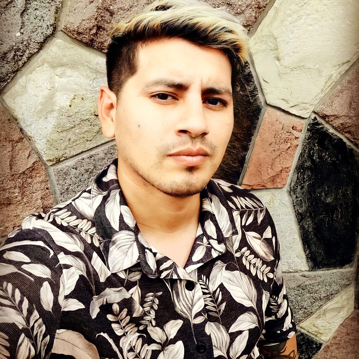 Ahora que me Voy - Single by Tony Diaz album cover