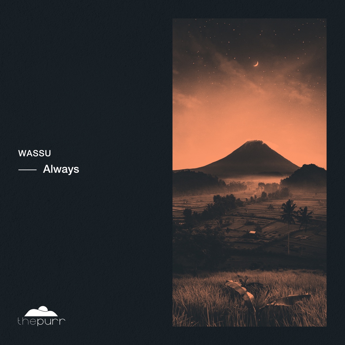 Always - Single by Phonic Youth & Wassu album cover