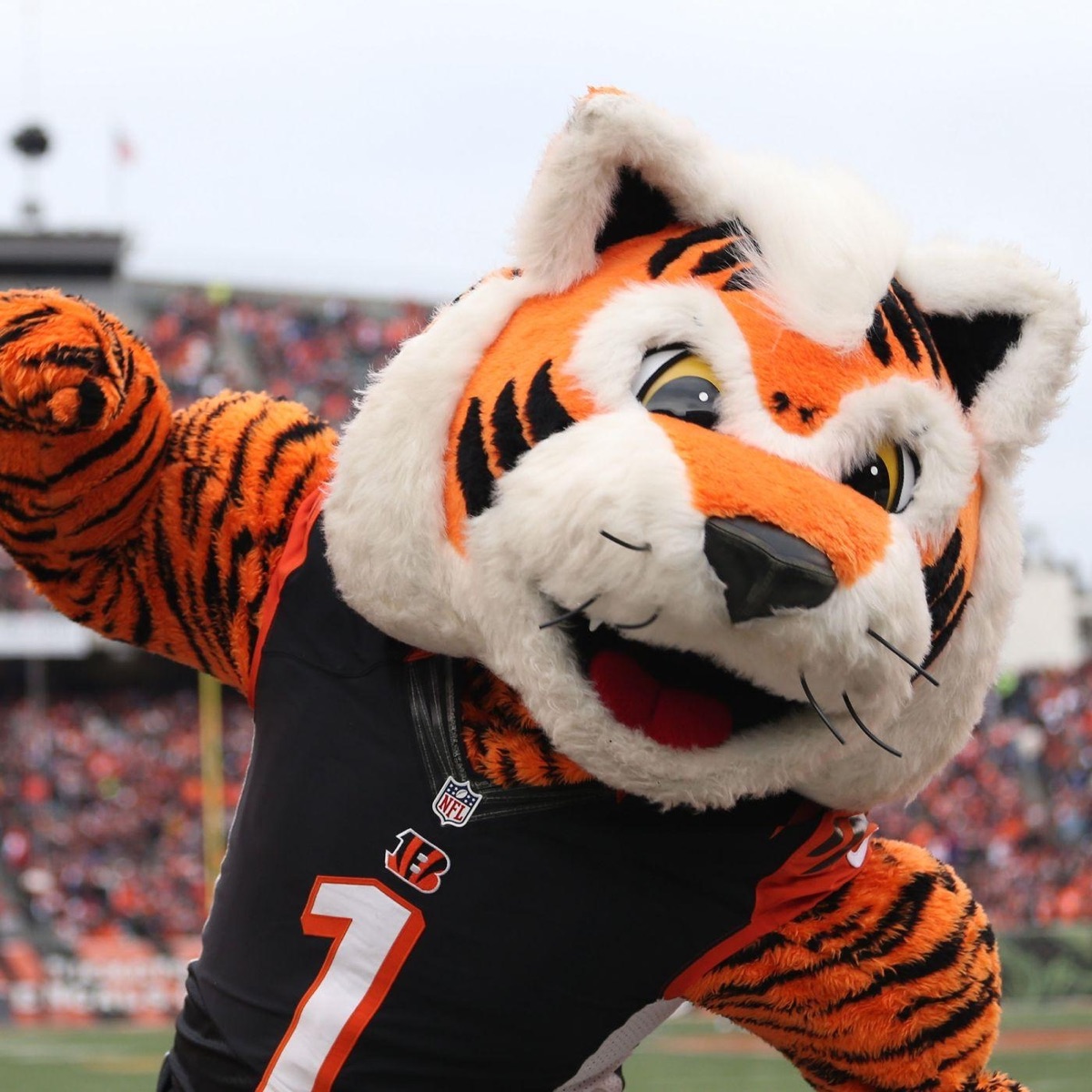 Who Dey Bengals Ho Hey II - Single by Folklore album cover