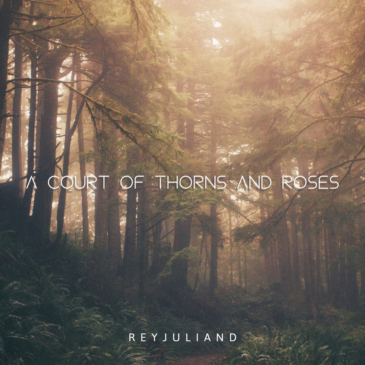 A Court of Thorns and Roses - Single by Reyjuliand album cover