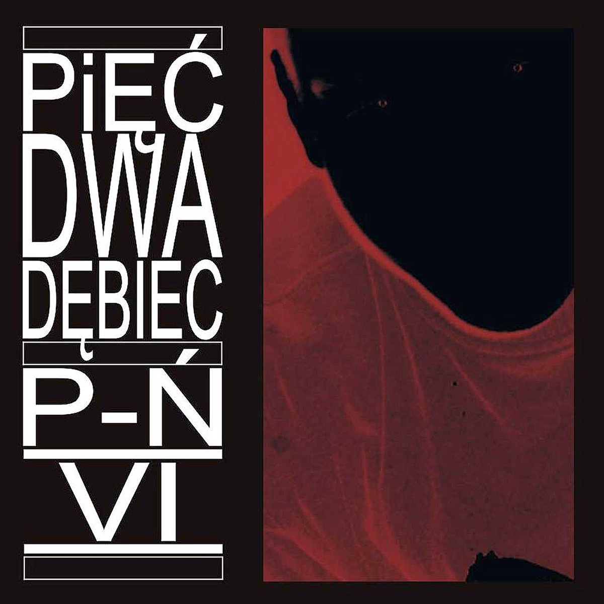 P-Ń Vi by Pięć Dwa Dębiec album cover