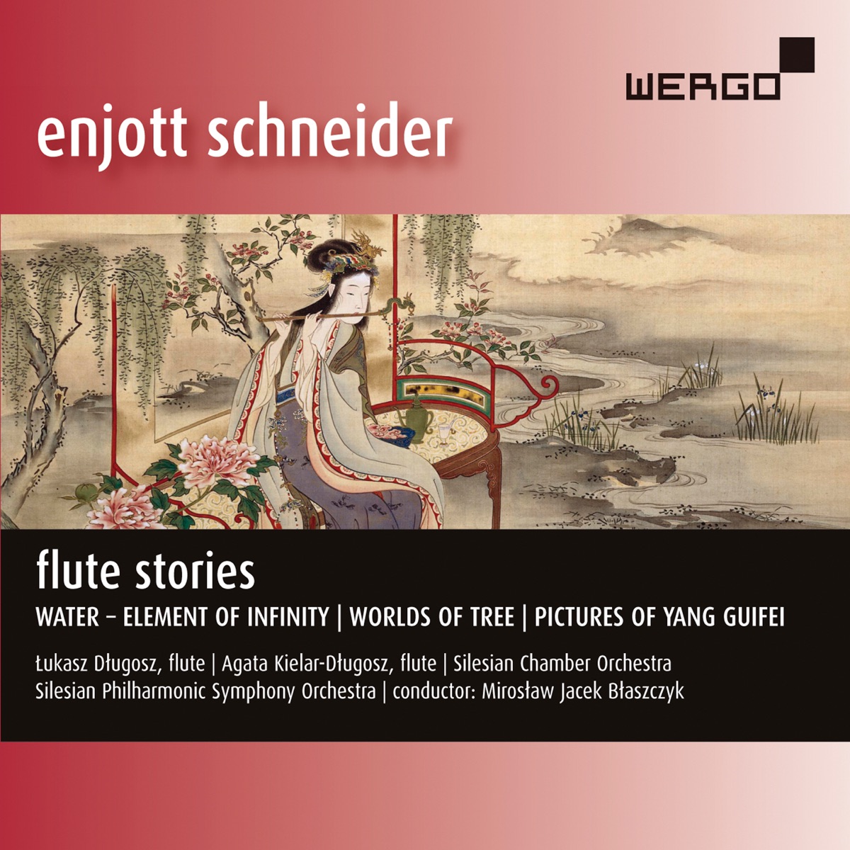 Enjott Schneider: Flute Stories by Łukasz Długosz, Silesian Chamber Orchestra, Silesian Philharmonic Symphony Orchestra & Miroslaw Jacek Blaszczyk album cover