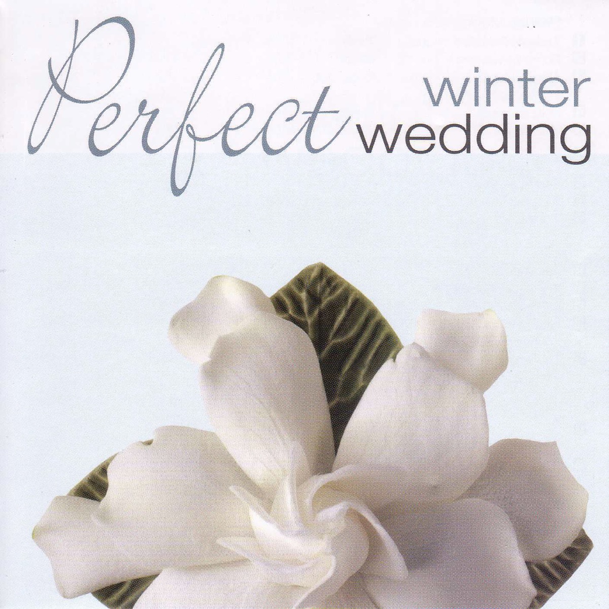 Perfect Winter Wedding by Capella Istropolitana, Mantova Orchestra & Richard Edlinger album cover