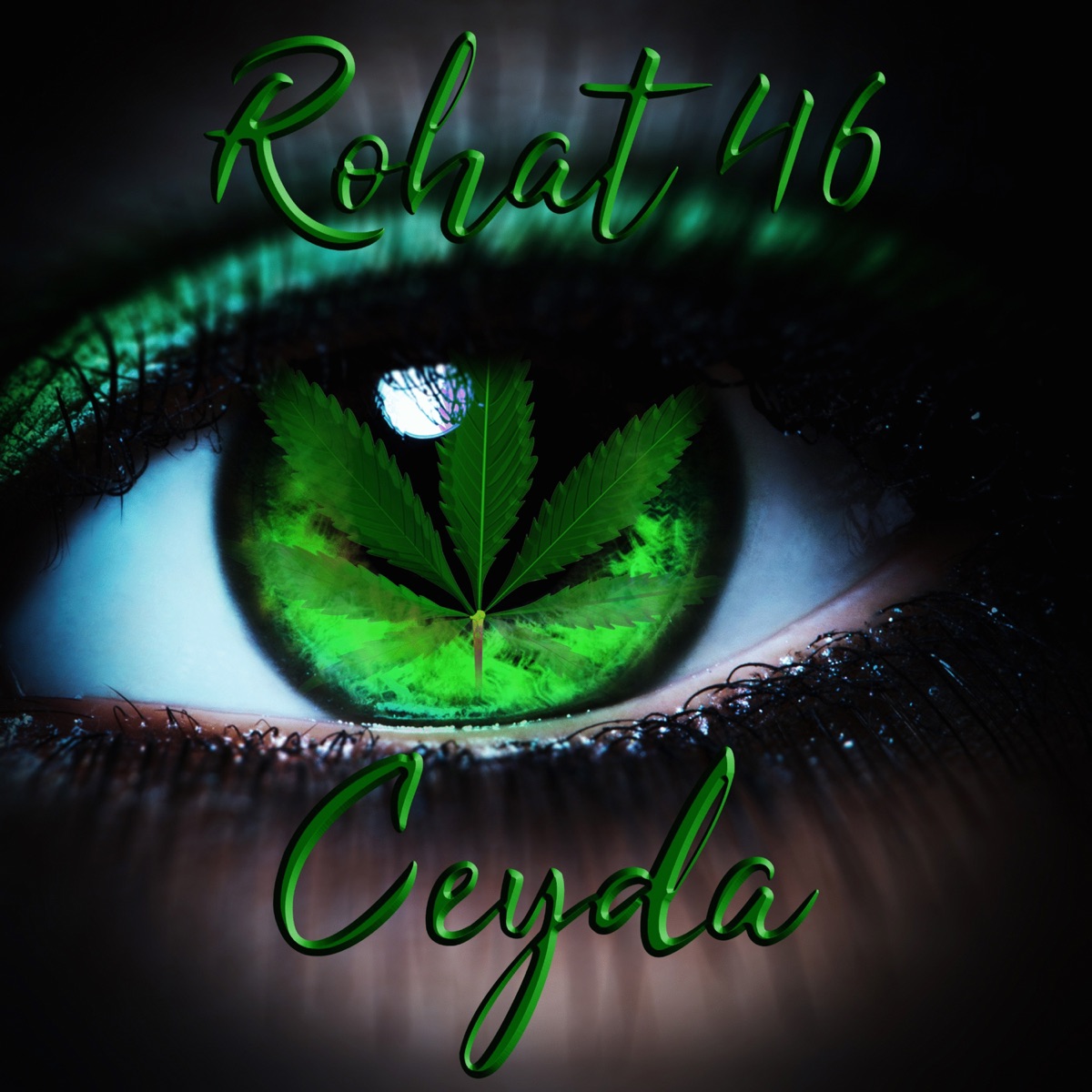 Ceyda - Single by Rohat46 album cover