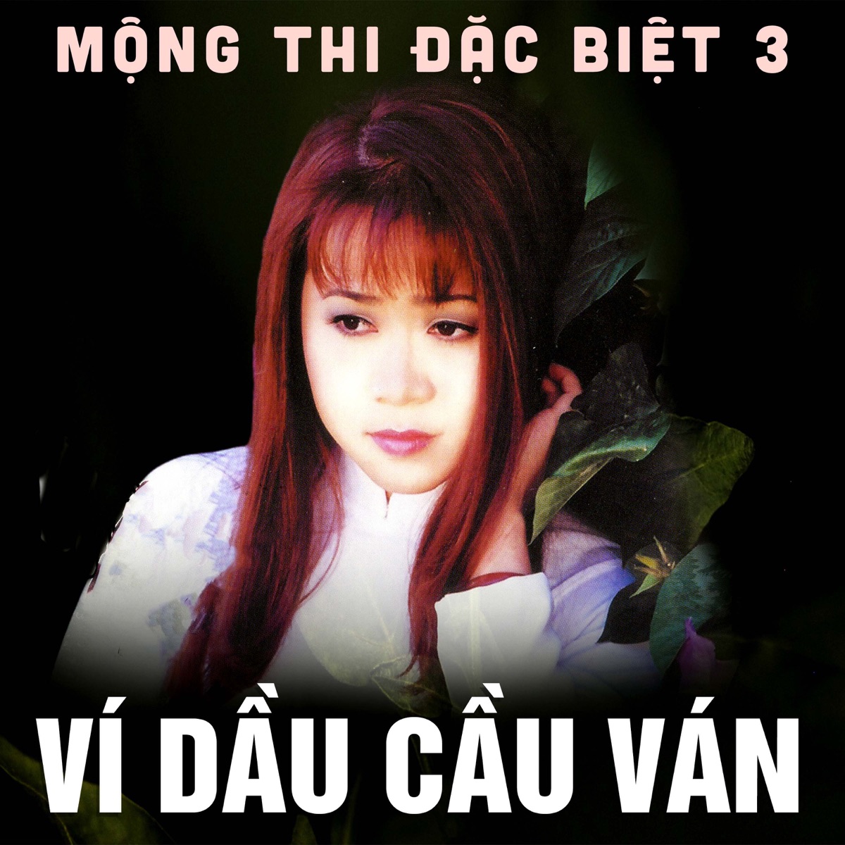 Mộng Thi đặc biệt 3 (Ví dầu cầu ván) by Mong Thi album cover