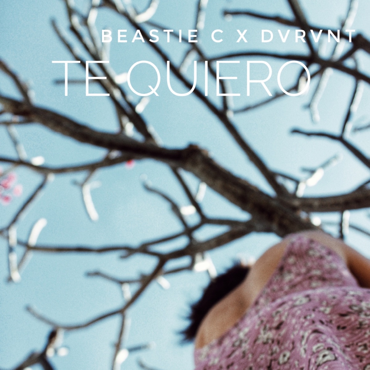 Te Quiero - Single by Dvrvnt & Beastie C album cover