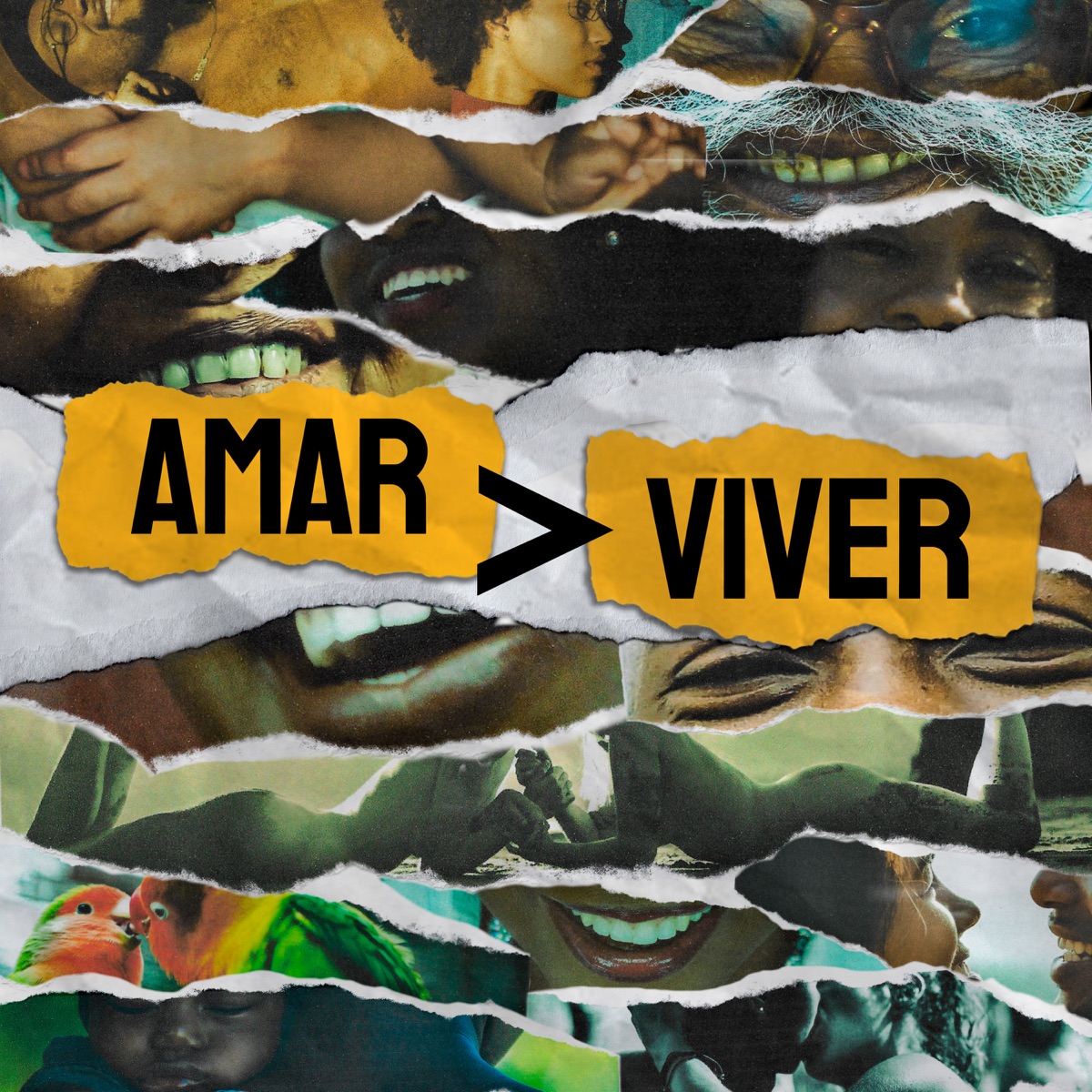 Amar É Maior Que Viver - Single by Gravnave album cover
