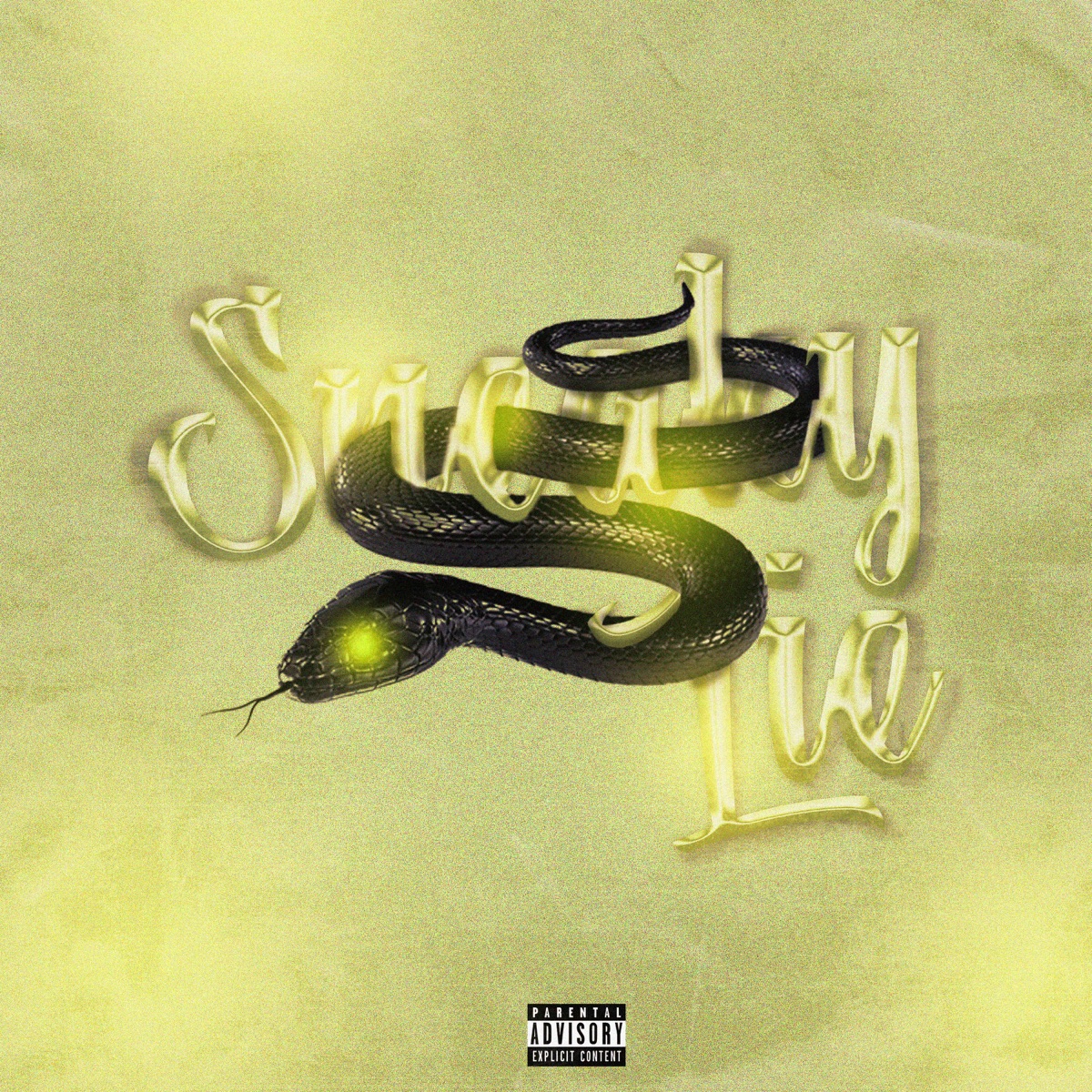 Sneaky Lie - Single by APN album cover
