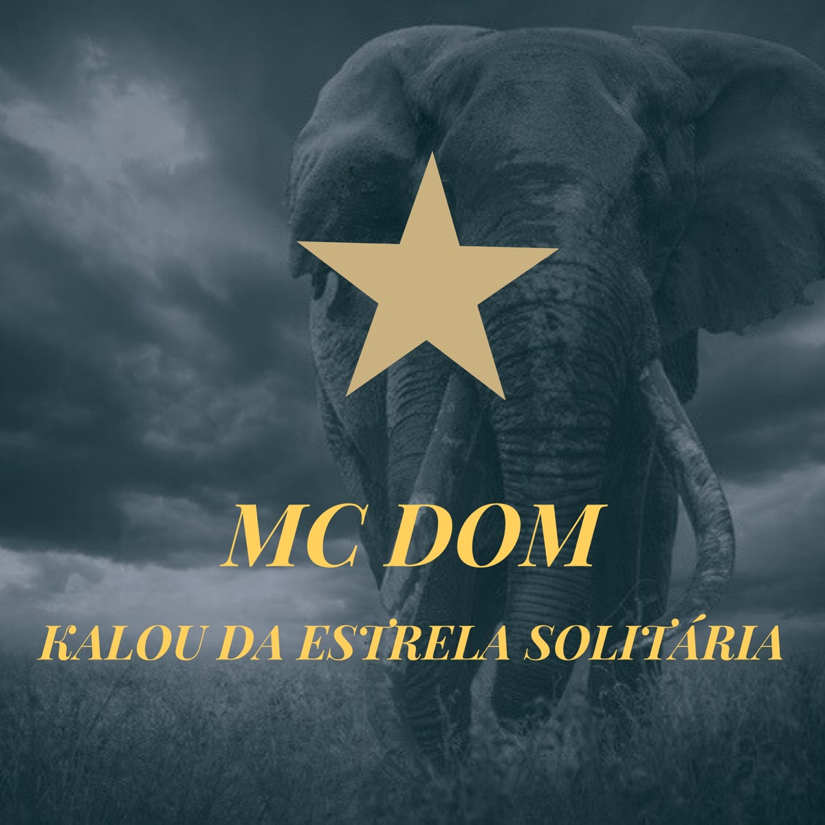 Kalou da Estrela Solitária - Single by Mc Dom album cover