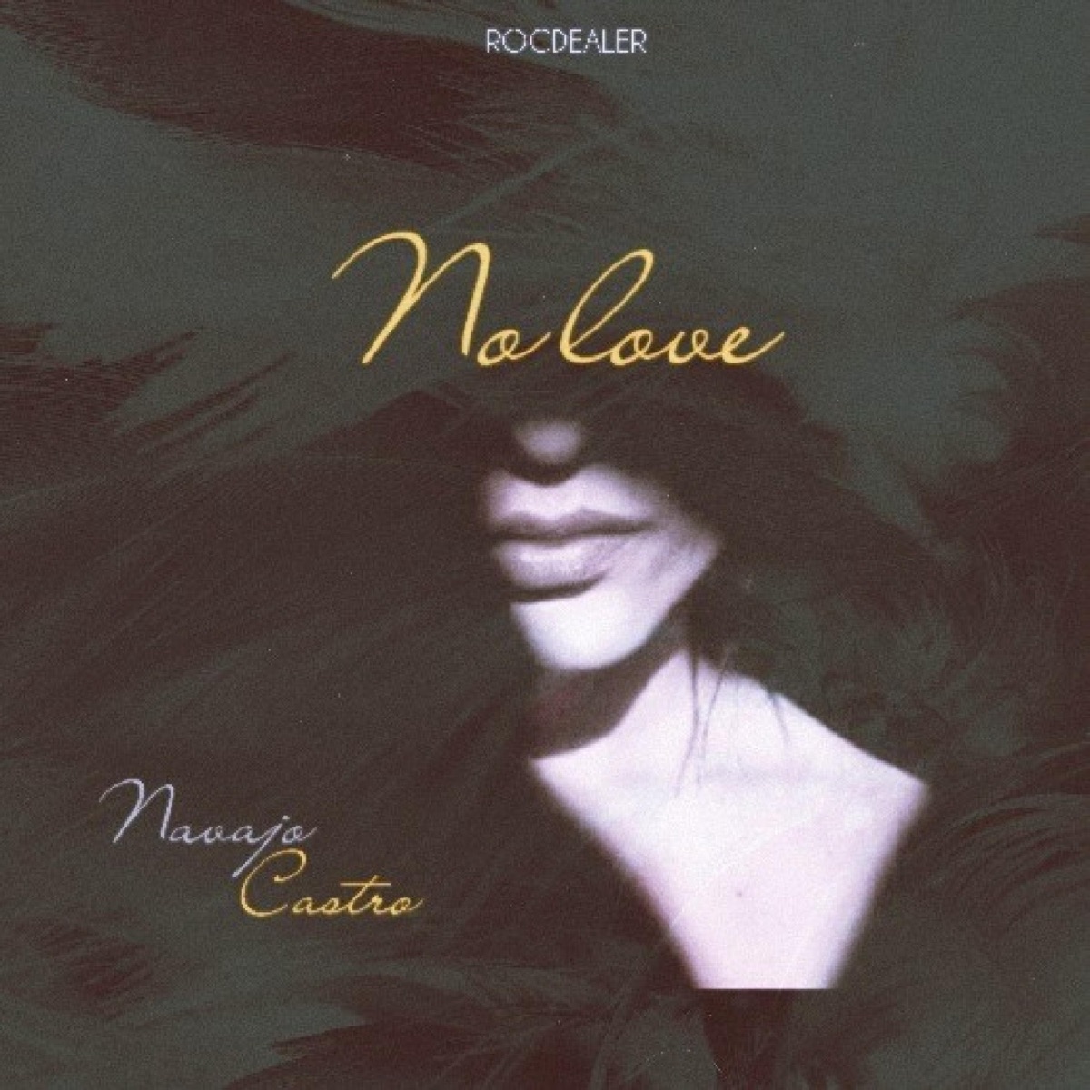 No love - Single by Navajo Castro album cover