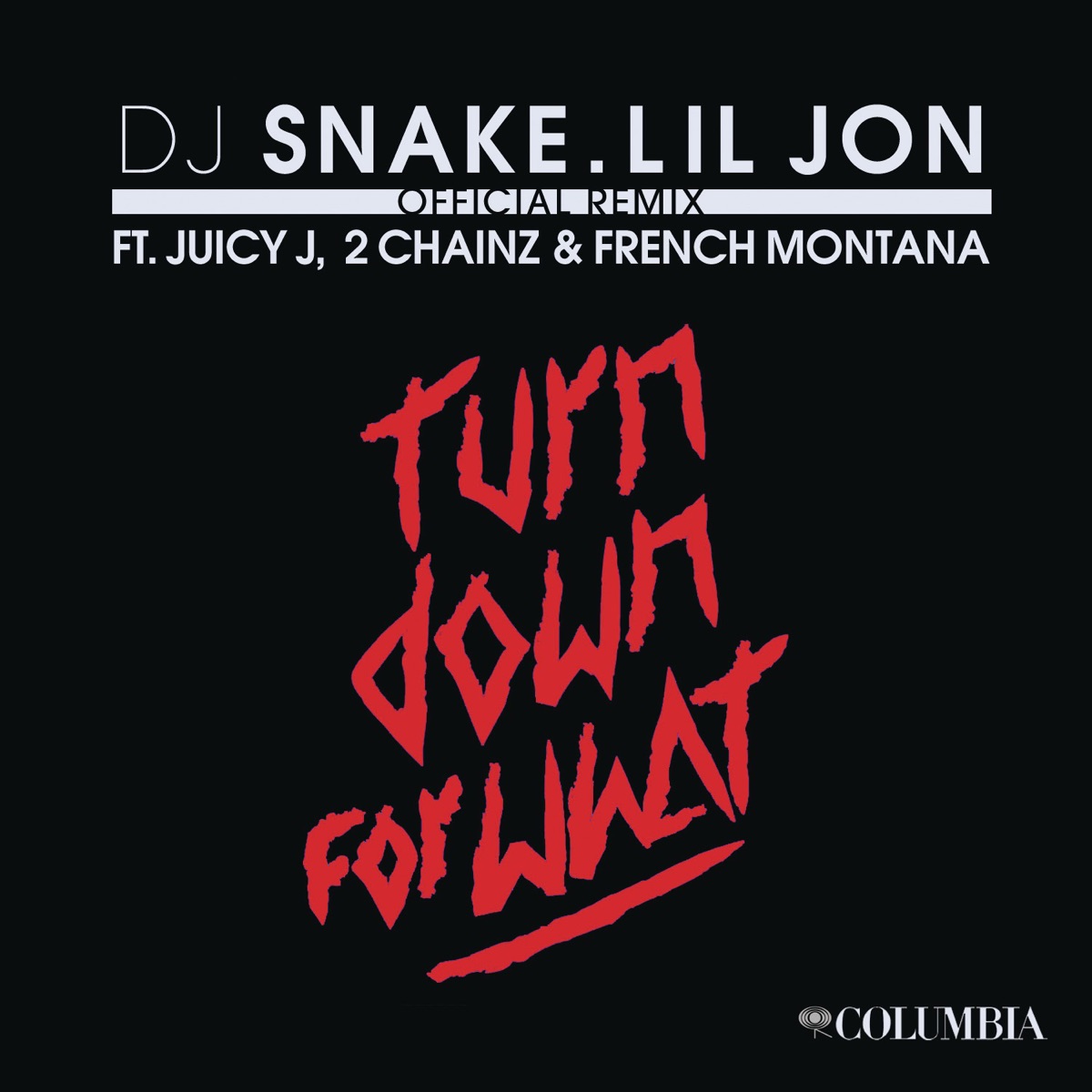Turn Down for What (Remix) [feat. Juicy J, 2 Chainz & French Montana] - Single by DJ Snake & Lil Jon album cover