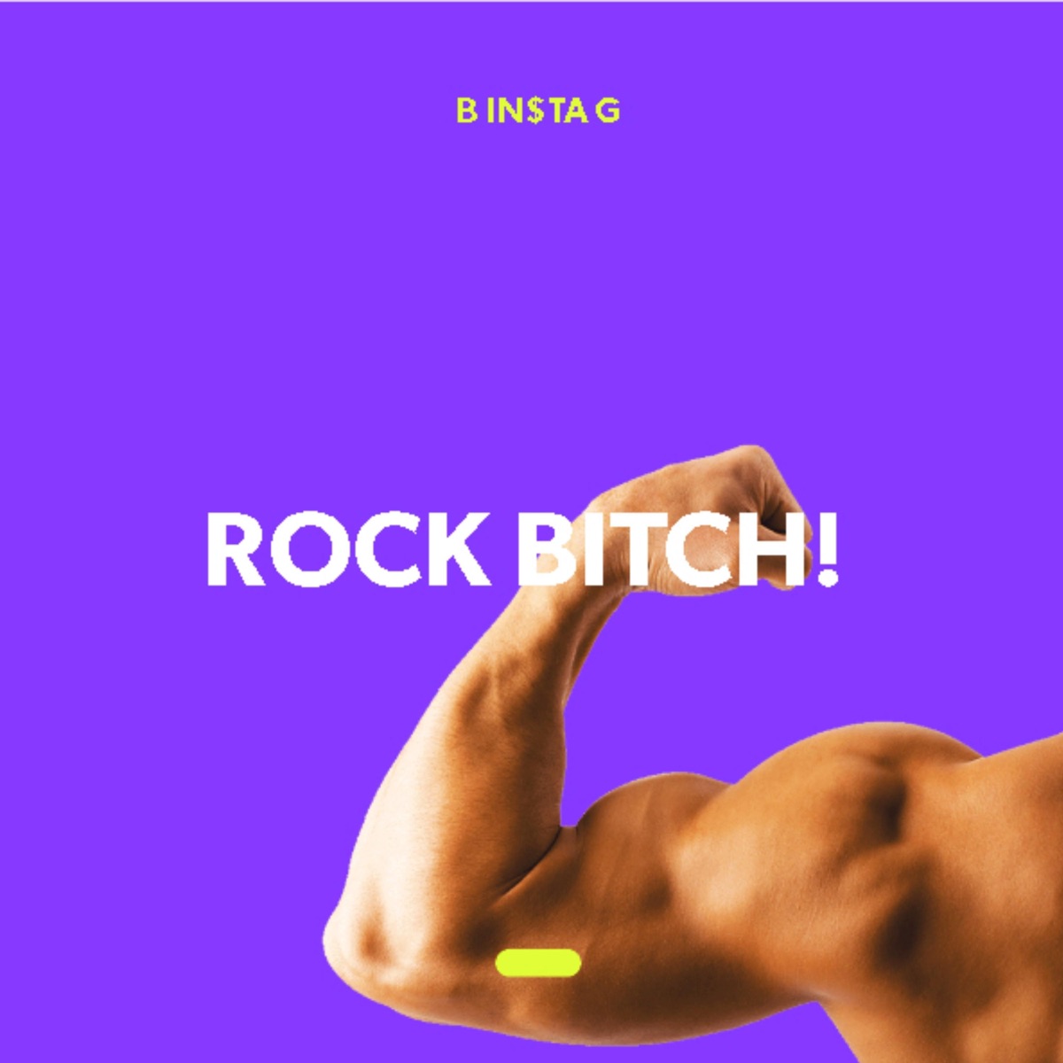 Rock Bitch! - Single by B In$ta G album cover