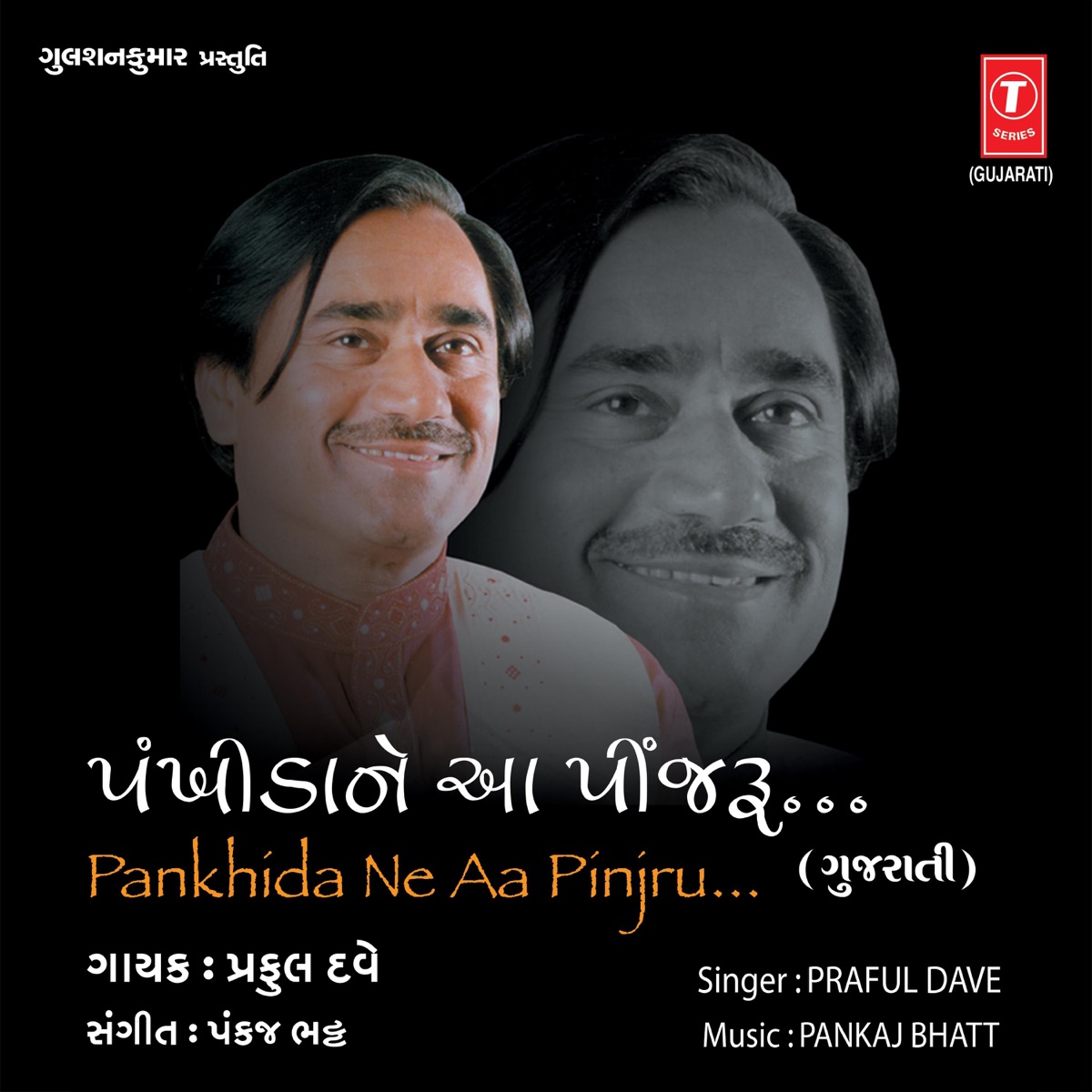 Pankhida Ne Aa Pinjru by Praful Dave album cover