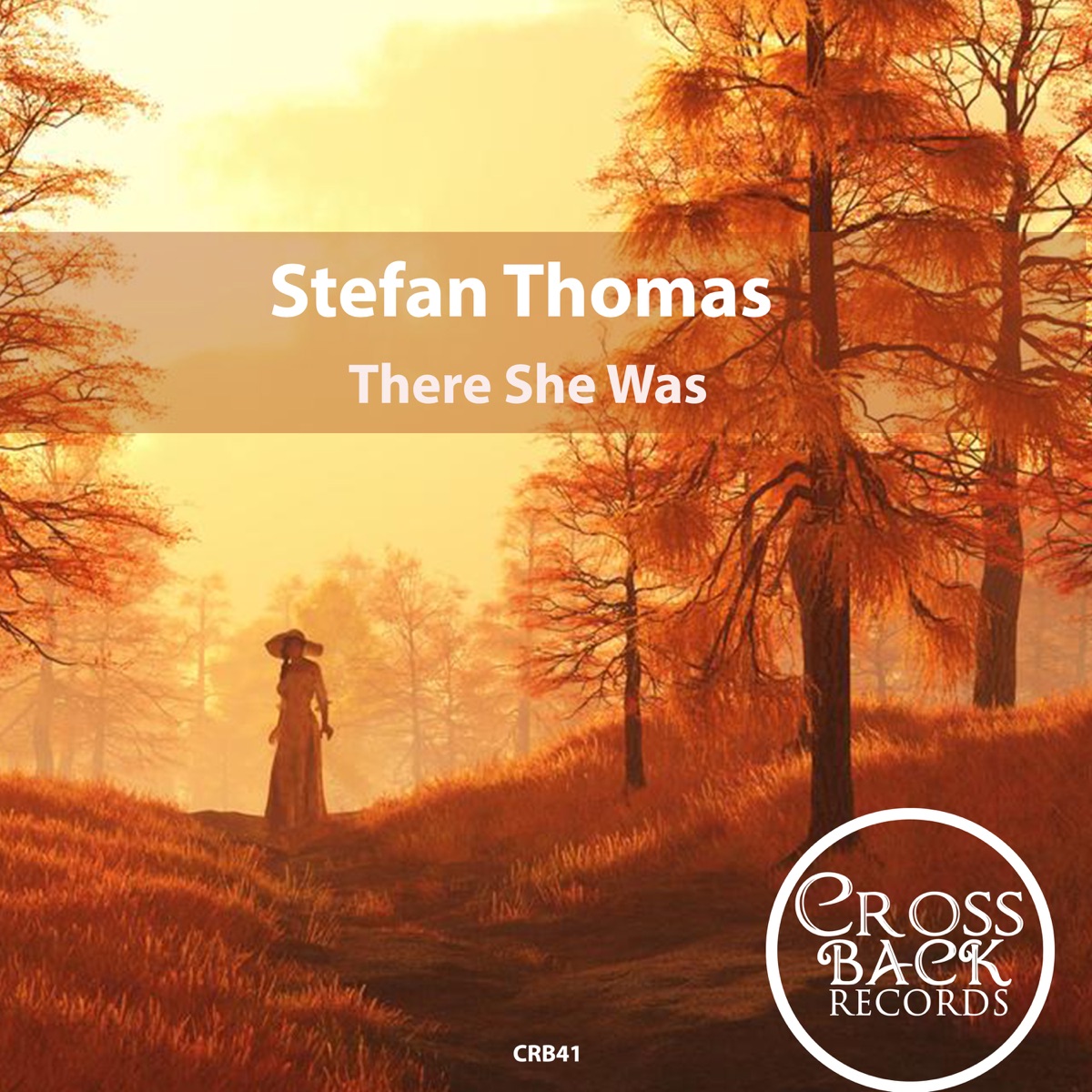 There She Was - Single by Stefan Thomas album cover