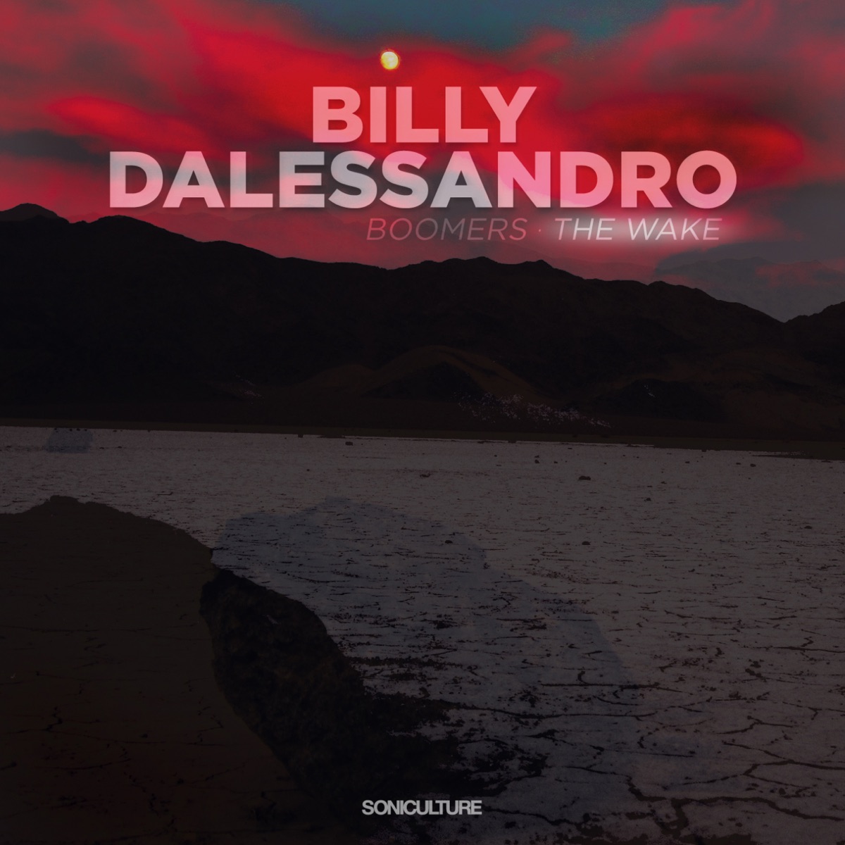 Boomers - The Wake - Single by Billy Dalessandro album cover