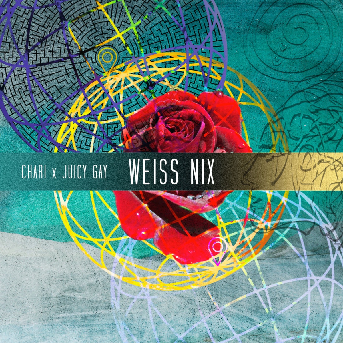 Weiß Nix (feat. Juicy Gay) - Single by Chari album cover
