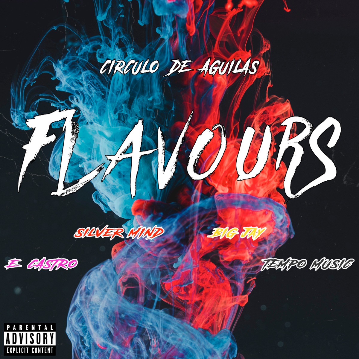 Flavours (feat. Big Jay & Silver Mind) - Single by Circulo De Aguilas, E. Castro & Tempo Music album cover