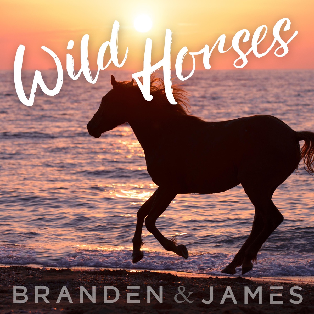 Wild Horses - Single by Branden & James album cover