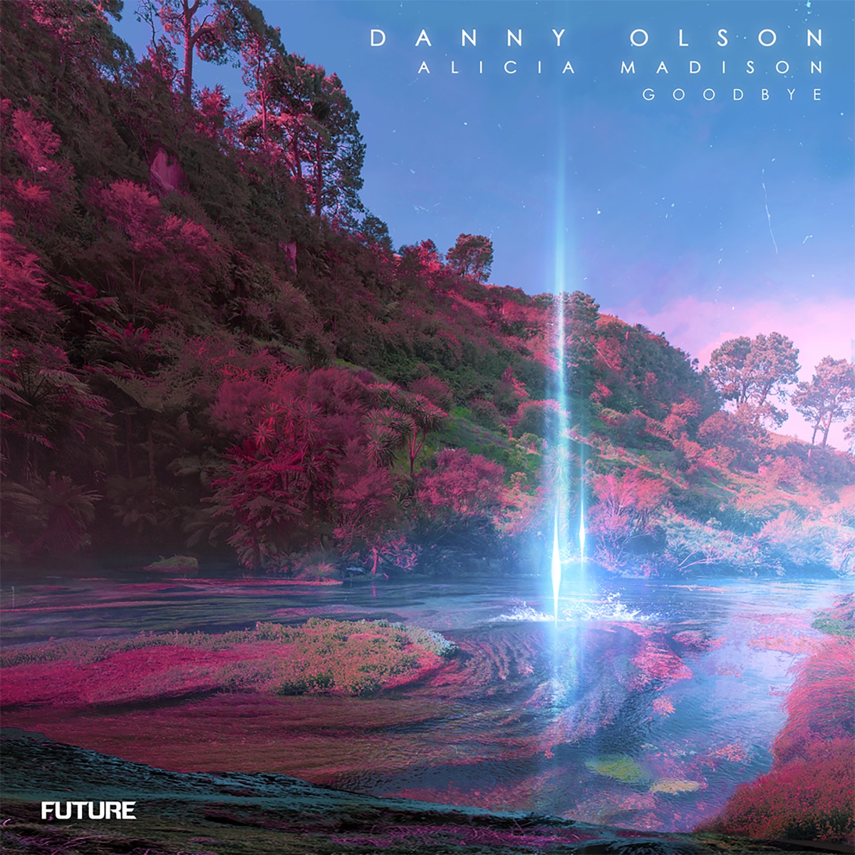 Goodbye - Single by Danny Olson & Alicia Madison album cover