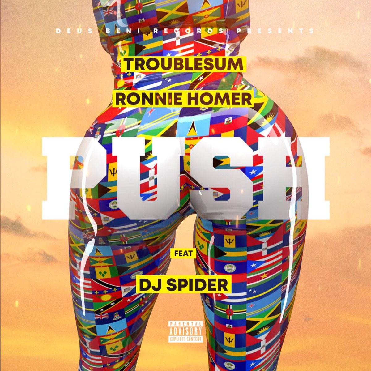 Push (feat. Ronnie Homer & DJ Spider) - Single by Troublesum album cover