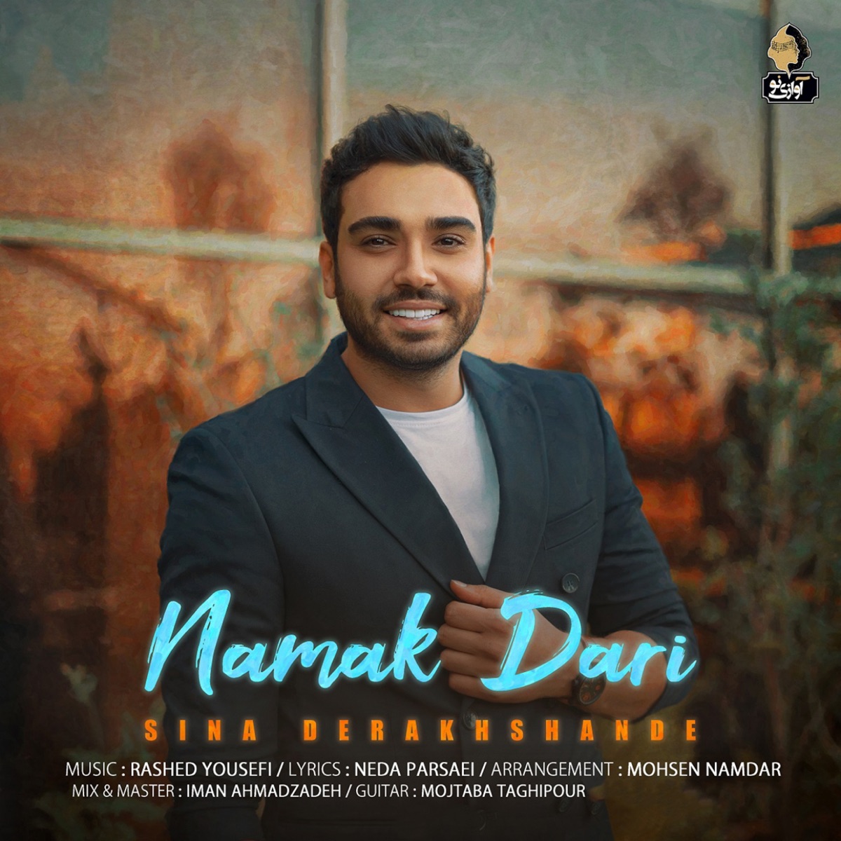 Namak Dari - Single by Sina Derakhshande album cover